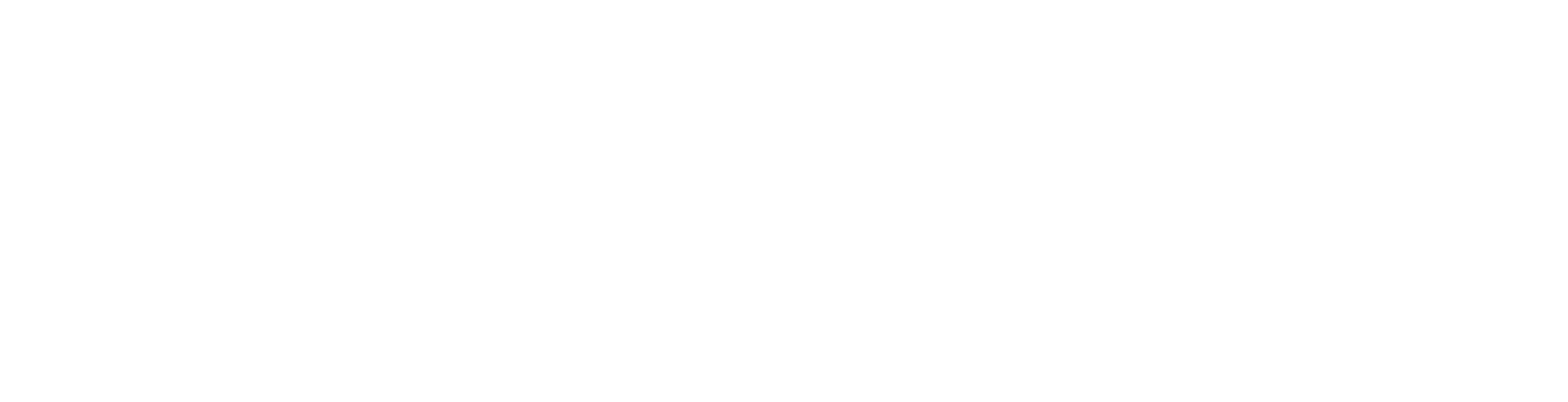 LIVOI Logo